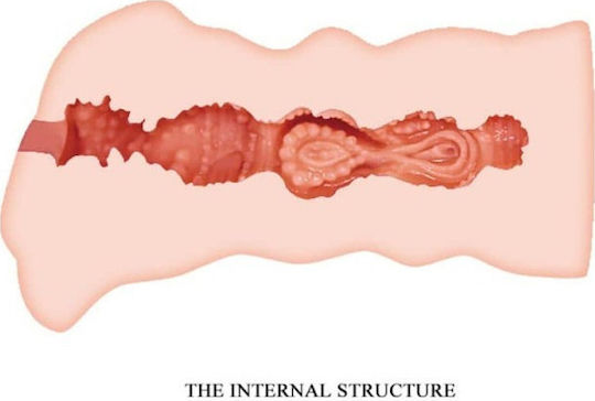 Crazy Bull Leila – Αυνανιστήρι Αιδίου με Ρεαλιστική Υφή |